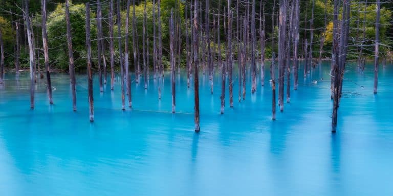 L’étang bleu au Japon, la nature à l’état pur