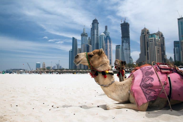 Découverte lors d&rsquo;un séjour culturel à Dubaï