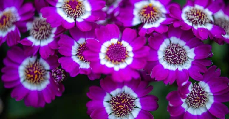 Comment s&rsquo;évader en beauté ?