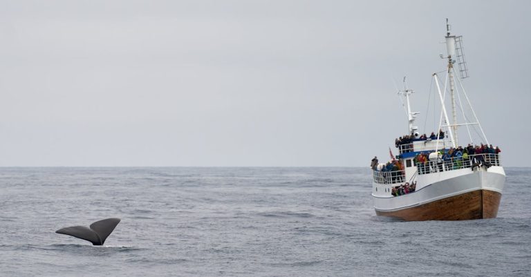 Quelles rencontres ont marqué ce voyage unique ?