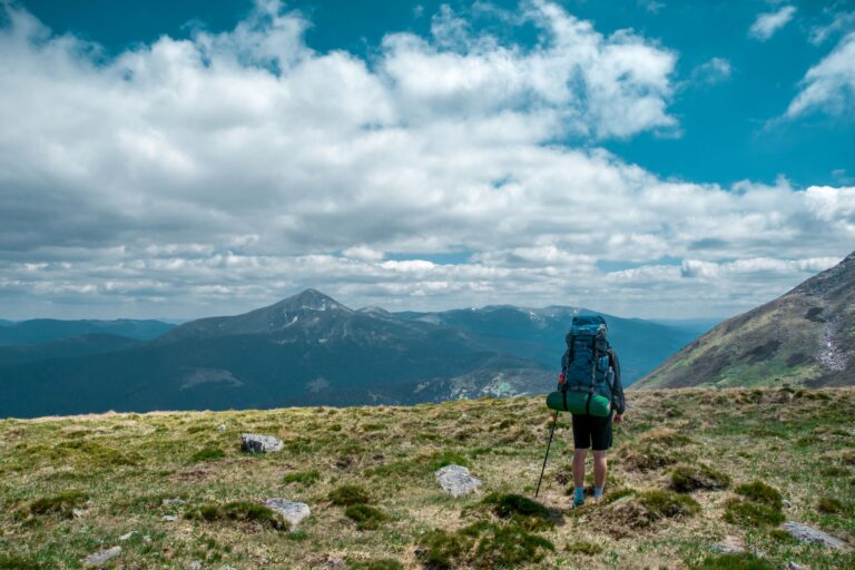 Quel est le récit captivant qui vous transportera dans un monde fascinant ?
