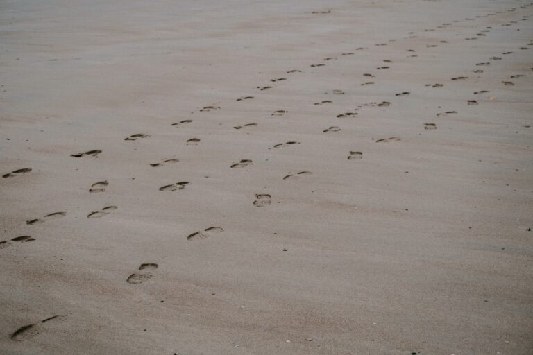Quelles sont les traces éphémères qui marquent nos vies ?